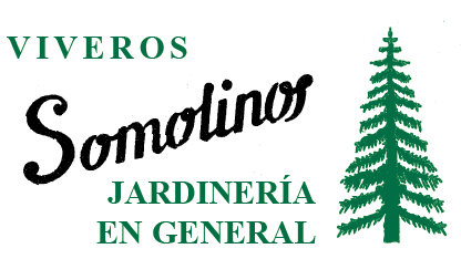 Publicidad del patrocinador Viveros Somolinos, jardinería en general